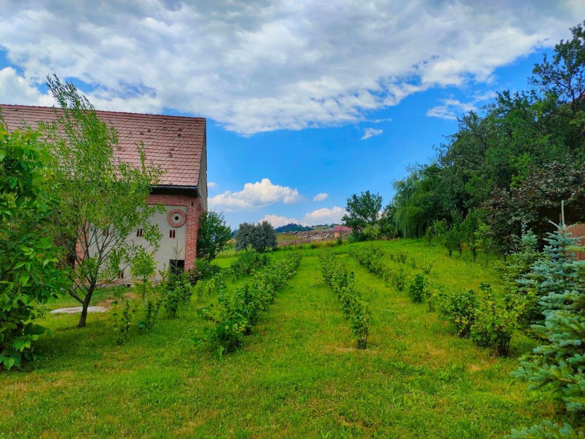 Organicle Lodge Sincraieni Exterior photo